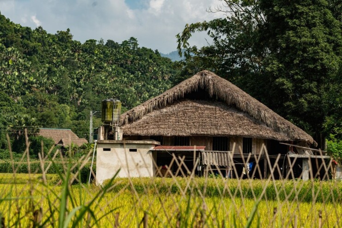 Eksplorasi Mendalam Tentang 3 Jenis Rumah Adat di Desa Batak, Termasuk Fakta Menarik tentang 'Kampung Kanibal', Beneran Ada?