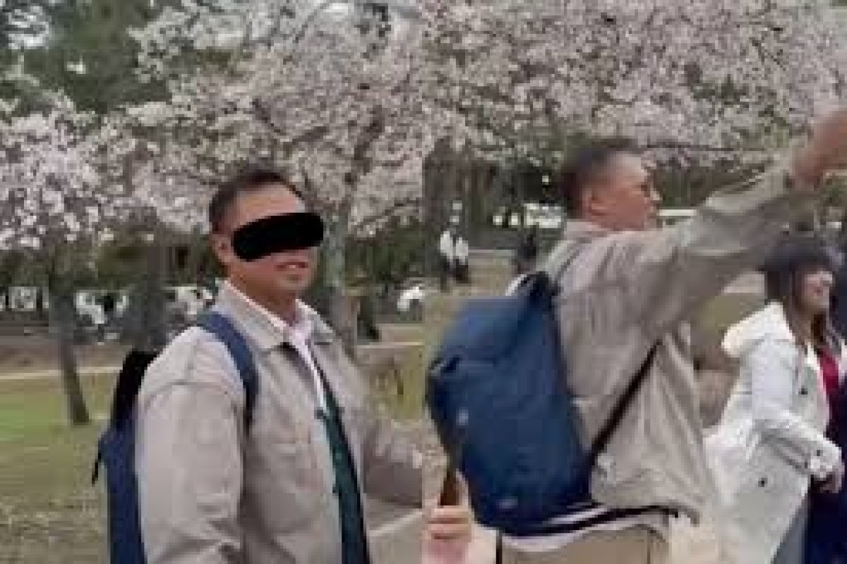 Profil dan Biodata Alfazan Nugroho, WNI yang Diduga Rusak Pohon Sakura di Jepang, Banjir Kritik Netizen Dikatai Bikin Malu: Lengkap Dengan Akun IG