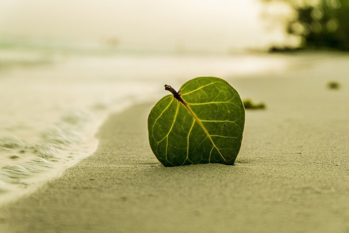 3 Destinasi Pantai yang Menawan, Siap Mengajak Anda Merasakan Romantisme dan Pesona Alam Memukau, Tawarkan Budget Murah?