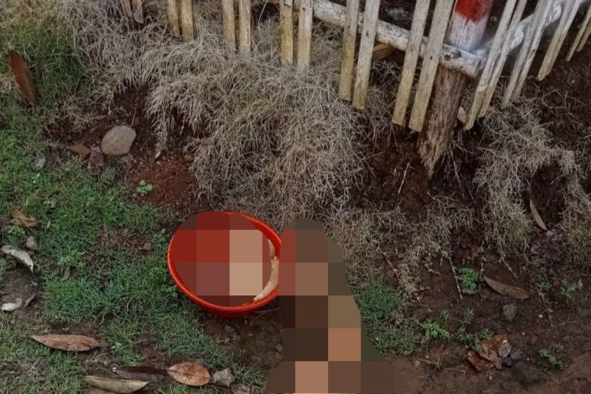 Viral Link Foto Mutilasi Istri Tarsum di Ciamis Diburu Warganet, Kasus Suami Bunuh Istri Usai Terlibat Hutang Ratusan Juta, Benarkah Kena Mental?