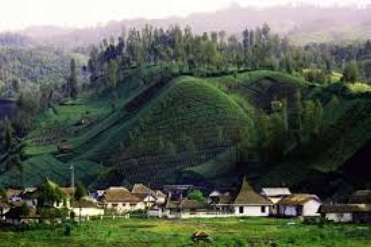 Berada di Ketinggian 2.200 Mdpl, Desa di Lumajang Memukau Dengan Keindahan Alamnya, Terkenal di Kalangan Pendaki dan Cocok Jadi Tempat Meditasi