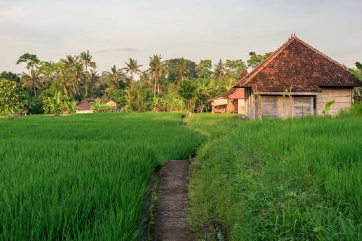 Jauh dari Hiruk Pikuk Perkotaan, Desa Kuno di Semarang Jateng Ini Sunyinya Sukses Bikin Candu: Seperti Kembali ke Era 80-an