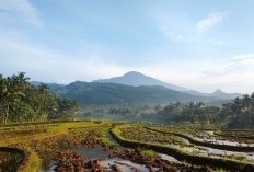 Gunung Emas di Sumatera Barat ini Jadi Tempat Ditaruhnya Harta Kekayaan Pejabat VOC yang Sudah Berusia 150 Tahun Terletak di Desa 