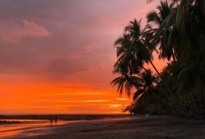 Kulon Progo Memang Mempesona, Punya Pantai Indah Warna Super Jingga yang Sayang Untuk Dilewatkan, Cocok Jadi Tempat Liburan dan Mengisi Feeds Instagram