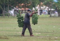 Jawa Timur Terbelah, Kabupaten Mana yang Memimpin Daftar Penduduk Termiskin di Jatim? Malang Dalam Sorotan Utama, Duduki Peringkat Berapa