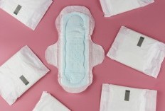 Ladies Catat Ini! Berikut Kebiasaan Jelek yang Patut Diwaspadai Saat Datang Bulan atau Menstruasi, Dari Cara Basuh Organ Intim Hingga Jarang Mengganti Pembalut