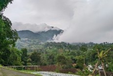 Bersemayam Dimana? Deli Serdang dan 3 Kabupaten Lainnya di Sumatera Utara Punya Penduduk Paling Miskin dan Kurang Sejahtera, Cek Datanya di Sini