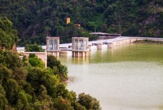 Dam Raksasa di Semarang Telan Dana Rp2T, Benarkah Jadi Bendungan Terbesar yang Berdiri di Tanah 4.528 Hektar, Simpan Pasokan Air 3 Wilayah Besar