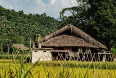 Eksplorasi Mendalam Tentang 3 Jenis Rumah Adat di Desa Batak, Termasuk Fakta Menarik tentang 'Kampung Kanibal', Beneran Ada?