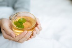 Menuju Kesehatan yang optimal, 10 Manfaat Teh Energi Herbalife yang Perlu Diketahui Beserta Cara Mengkonsumsi yang Benar