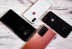 Layar Makin Besar? Intip Bocoran Desain iPhone 16 yang Akan Hadir dengan Perubahan Baru Mulai Tombol, Fitur hingga Warna, Harga Juga Berubah?