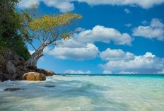 Pesona Alam Baru di Pantai Kuyon Trenggalek, Surga Wisata yang Menggoda dengan Keindahan, Siapkan Kamera untuk Foto-foto Tak Terlupakan!