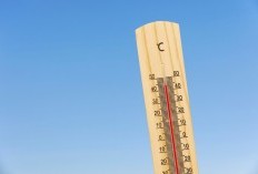 16 Jenis Termometer Beserta Manfaatnya Untuk Kehidupan Sehari-Hari, Ternyata Bukan Hanya Untuk Mengukur Suhu Tubuh Loh