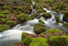 8 Nama Sungai di Bali yang Pas untuk Tempat Refresing, Rasakan Suasana Gemericik Air Dijamin Stres Hilang, Mirip River Walk ala Sungai Cheonggyecheon Korea Selatan?