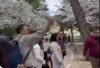 Profil dan Biodata Turis Asal Indonesia, Pelaku Pengrusakan Pohon Sakura di Jepang: Lengkap Dengan Akun IG
